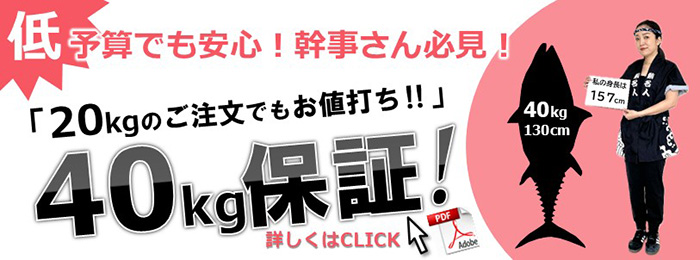 サイズアップシステム